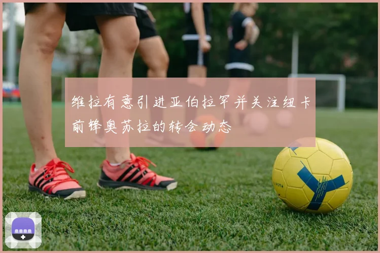 维拉有意引进亚伯拉罕并关注纽卡前锋奥苏拉的转会动态