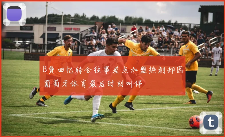 B费回忆转会往事差点加盟热刺却因葡萄牙体育最后时刻叫停