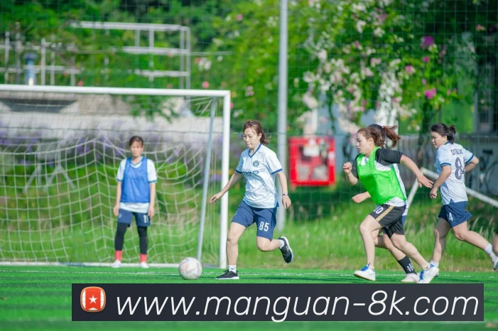 未来规划